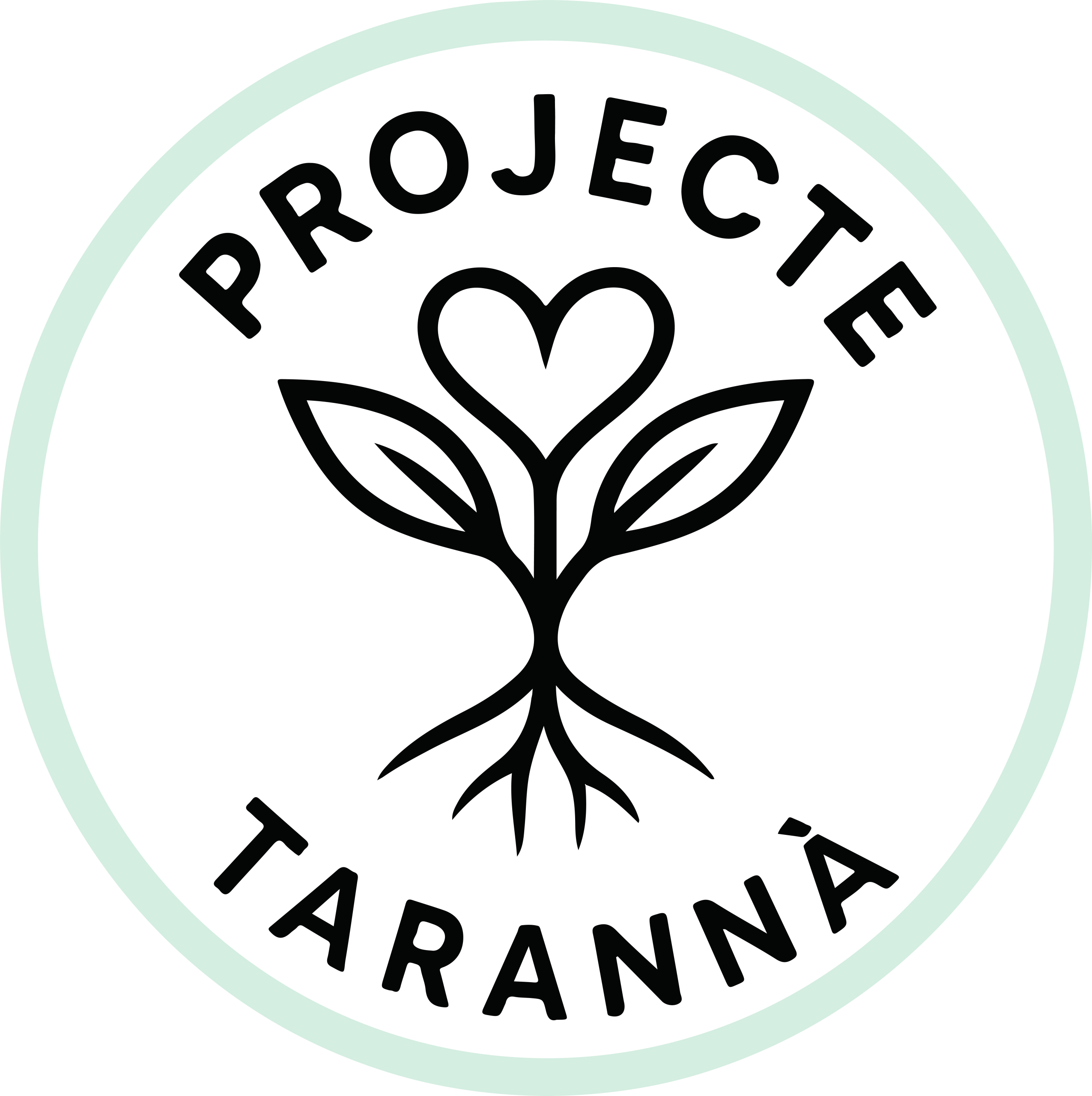 Projecte Taranna
